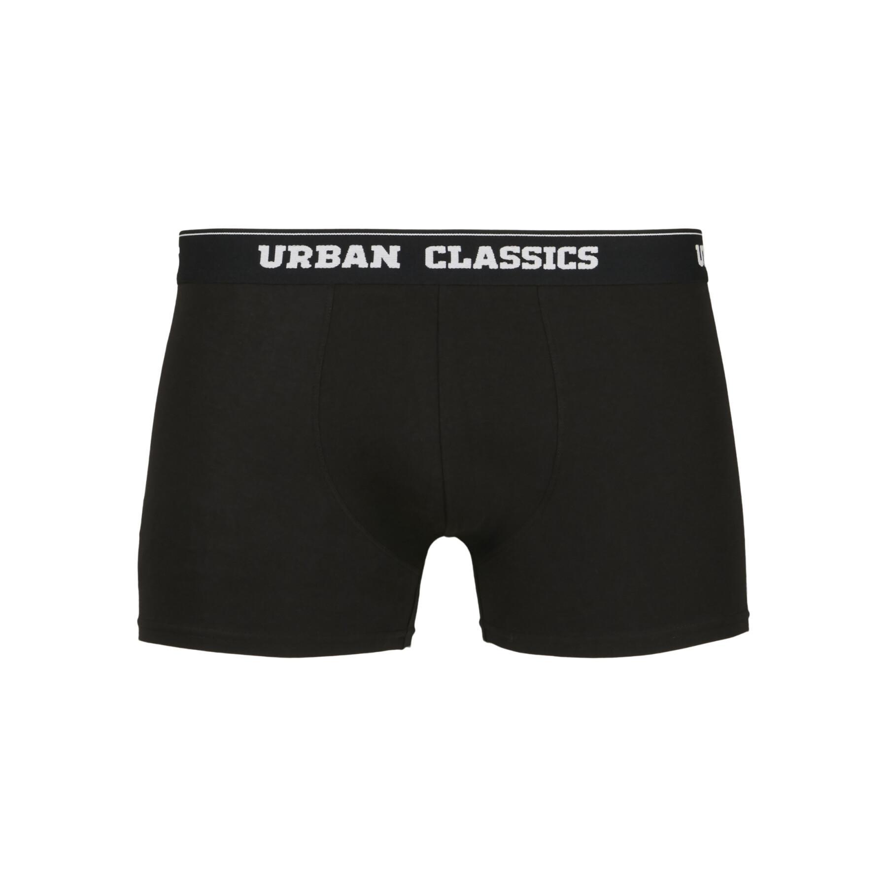 Boxer Urban Classics (x5)