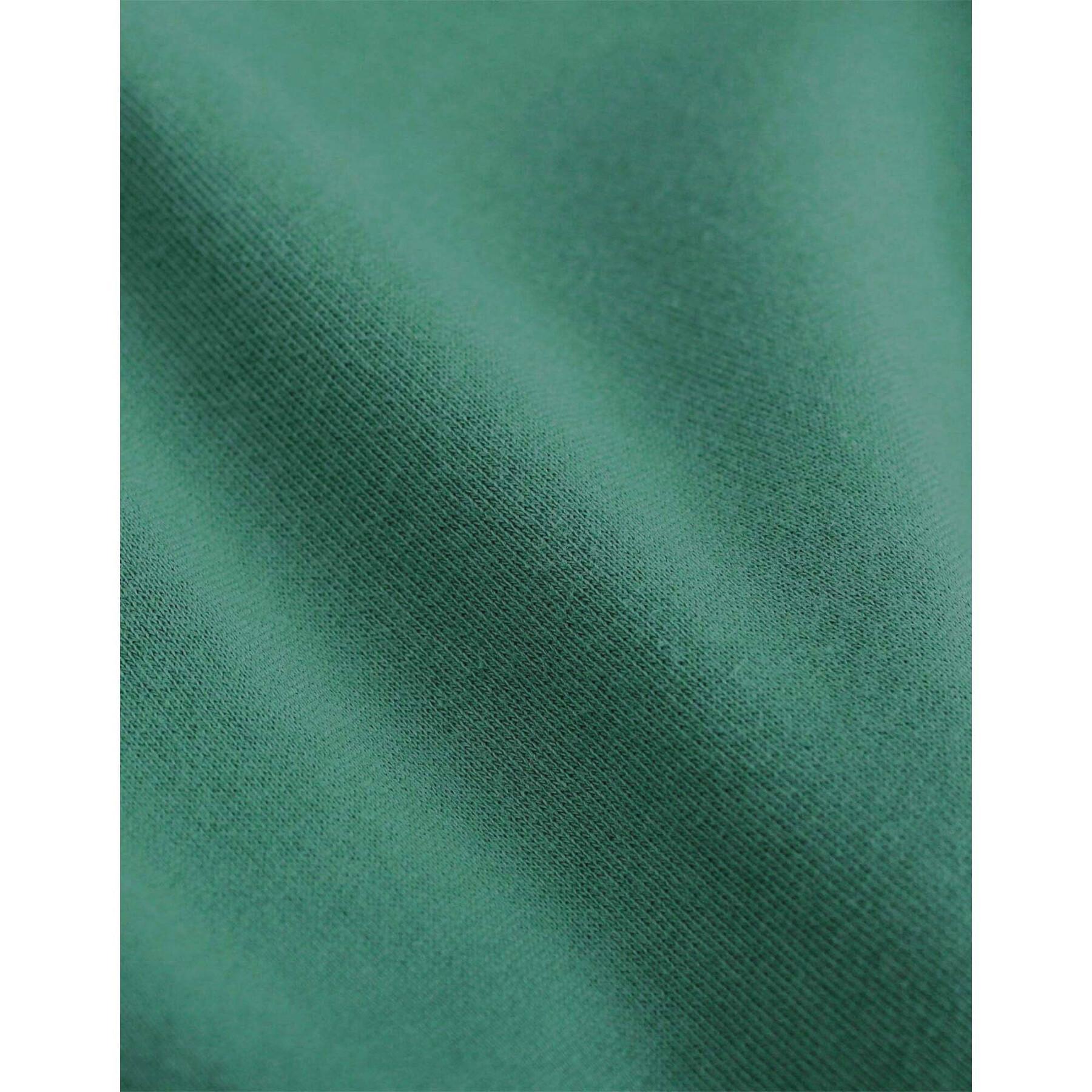 Kapuzenpullover Colorful Standard Classic Organic Pine Green