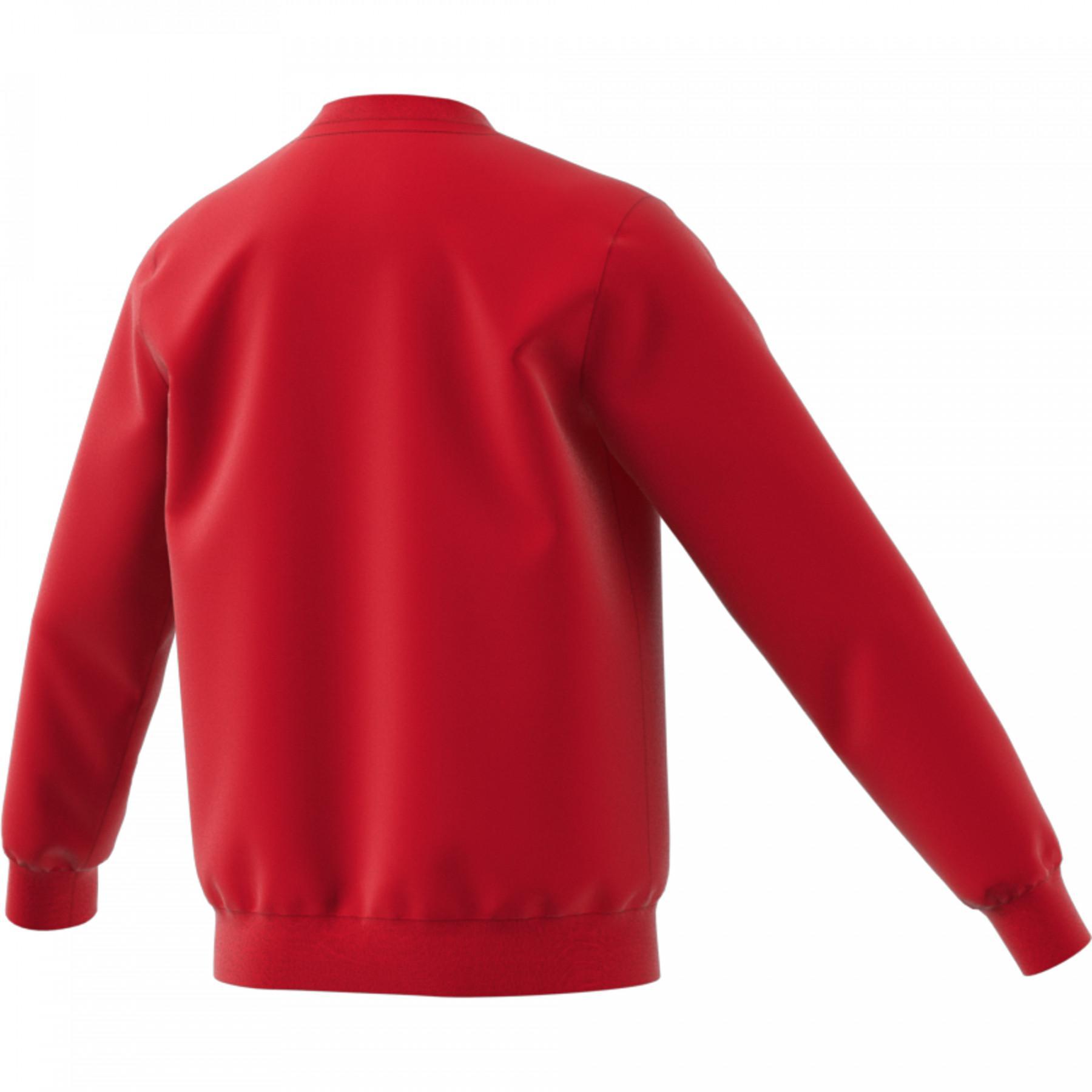 adidas Trefoil Crew Junior Sweatshirt