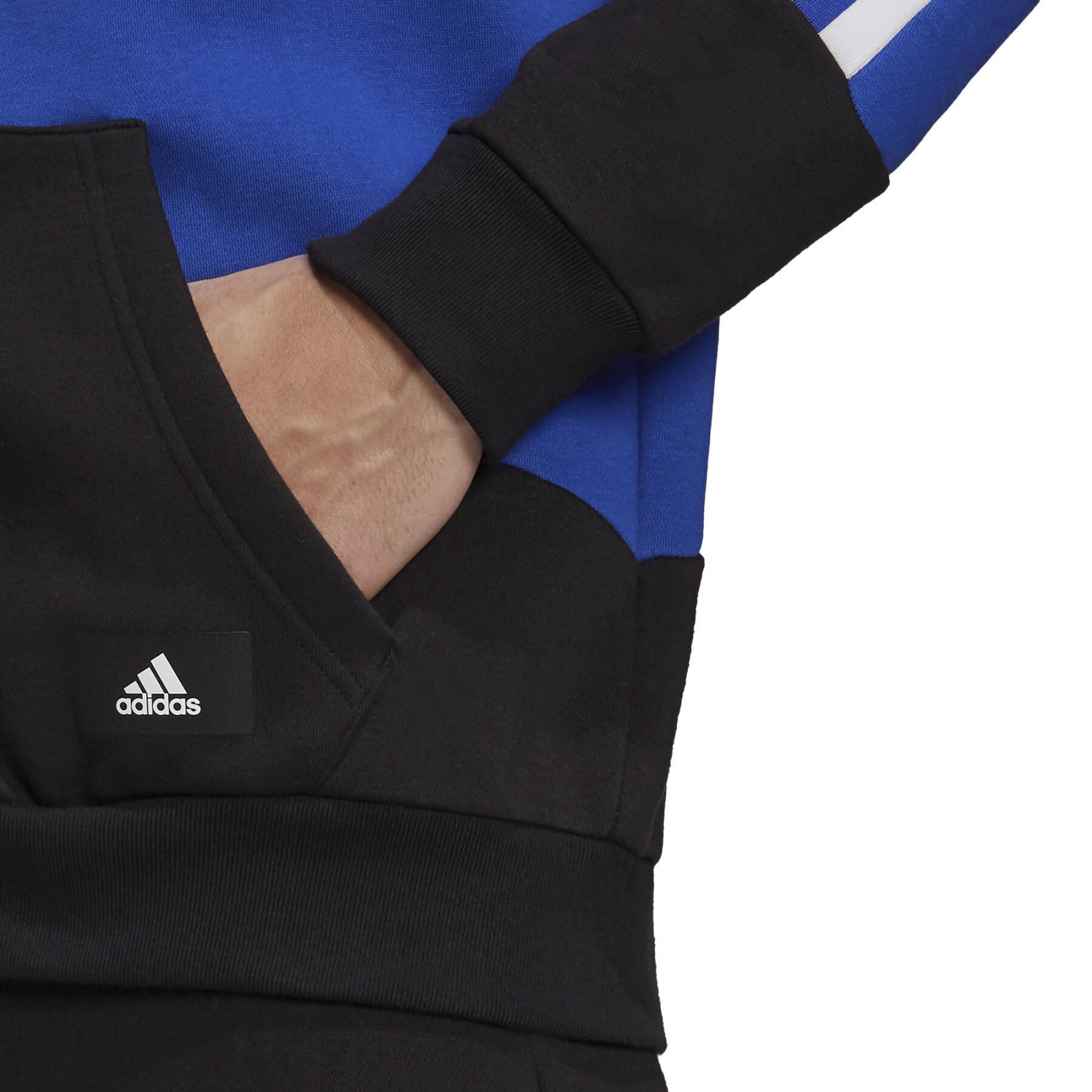 Sweatshirt mit Kapuze adidas Sportswear Colorblock
