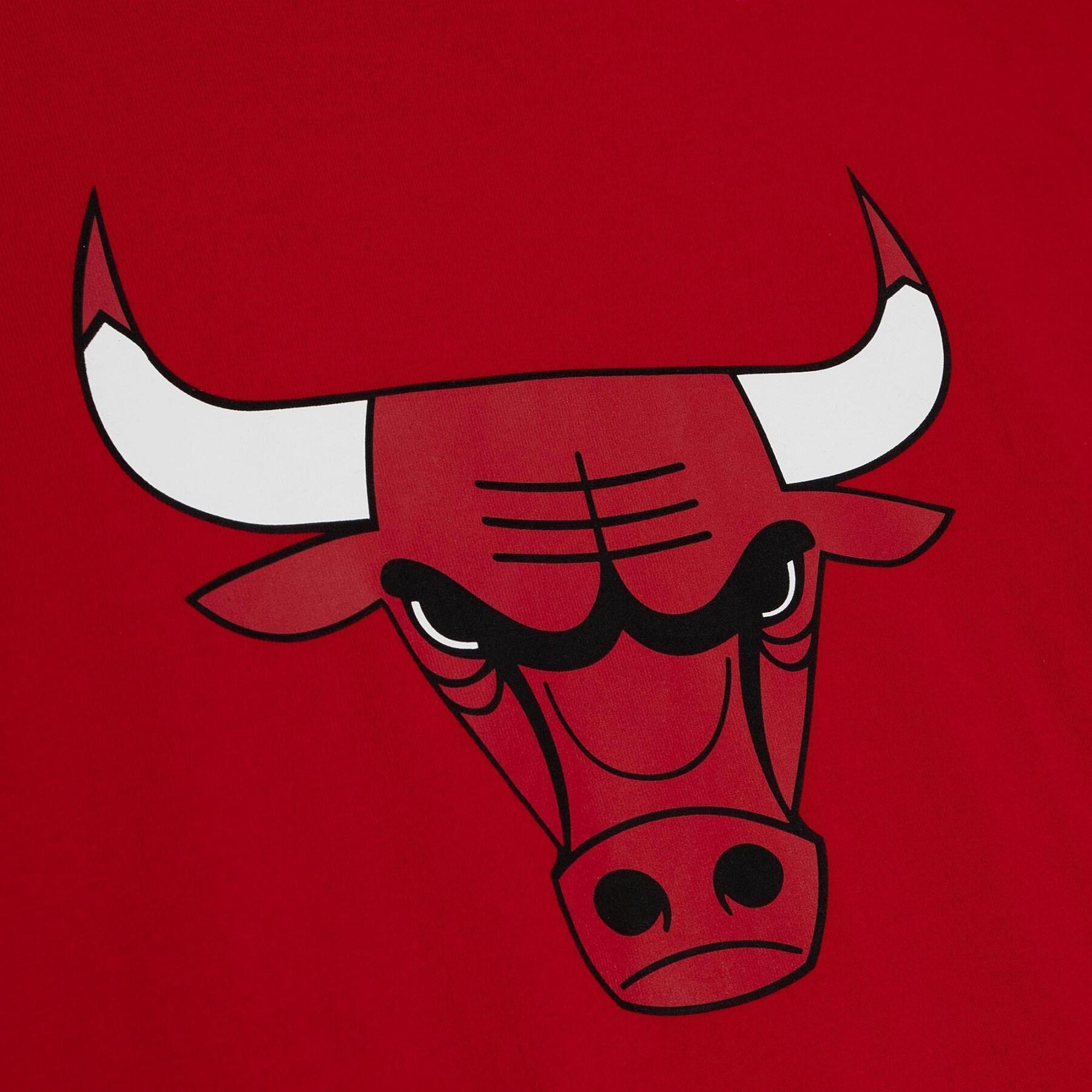 T-Shirt Chicago Bulls Origins