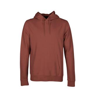 Kapuzen-Sweatshirt Colorful Standard Classic Organic Cinnamon Brown