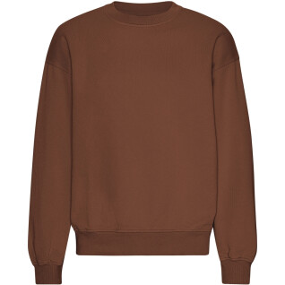 Sweatshirt mit Rundhalsausschnitt in Oversize-Optik Colorful Standard Organic Cinnamon Brown