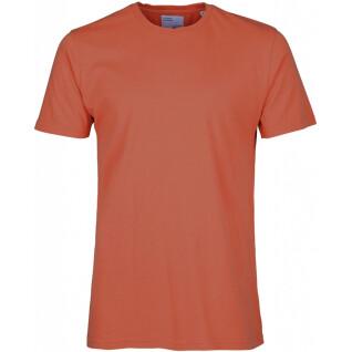T-Shirt Colorful Standard Classic Organic dark amber