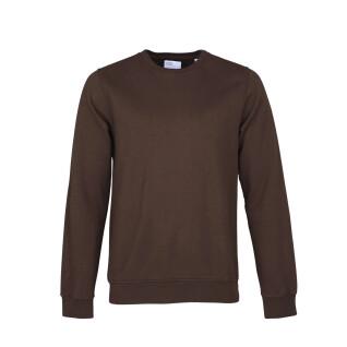 Sweatshirt mit Rundhalsausschnitt Colorful Standard Classic Organic coffee brown
