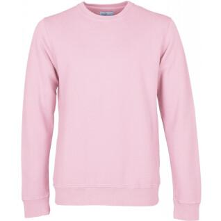 Sweatshirt mit Rundhalsausschnitt Colorful Standard Classic Organic flamingo pink