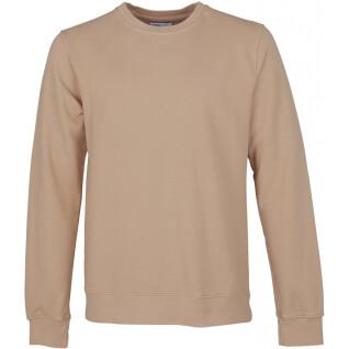 Sweatshirt mit Rundhalsausschnitt Colorful Standard Classic Organic honey beige