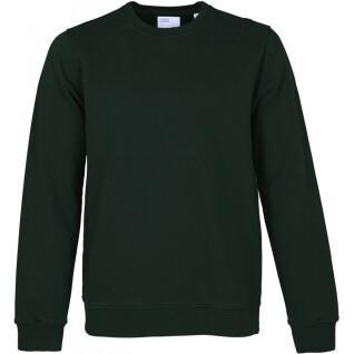 Sweatshirt mit Rundhalsausschnitt Colorful Standard Classic Organic hunter green