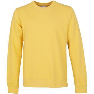 Sweatshirt mit Rundhalsausschnitt Colorful Standard Classic Organic lemon yellow