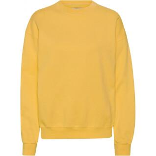 Sweatshirt mit Rundhalsausschnitt Colorful Standard Organic oversized burned yellow