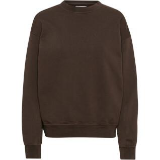 Sweatshirt mit Rundhalsausschnitt Colorful Standard Organic oversized coffee brown