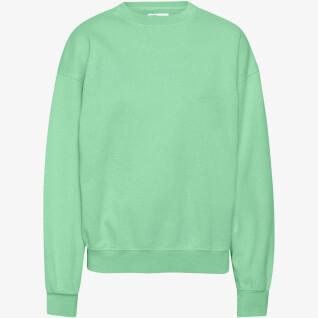 Sweatshirt mit Rundhalsausschnitt Colorful Standard Organic oversized faded mint