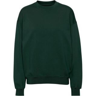 Sweatshirt mit Rundhalsausschnitt Colorful Standard Organic oversized hunter green
