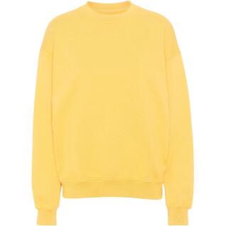 Sweatshirt mit Rundhalsausschnitt Colorful Standard Organic oversized lemon yellow