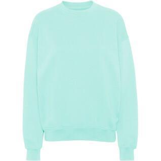 Sweatshirt mit Rundhalsausschnitt Colorful Standard Organic oversized light aqua
