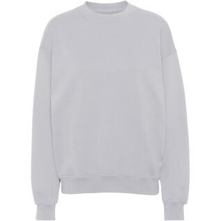 Sweatshirt mit Rundhalsausschnitt Colorful Standard Organic oversized limestone grey