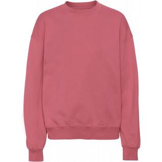 Sweatshirt mit Rundhalsausschnitt Colorful Standard Organic oversized raspberry pink