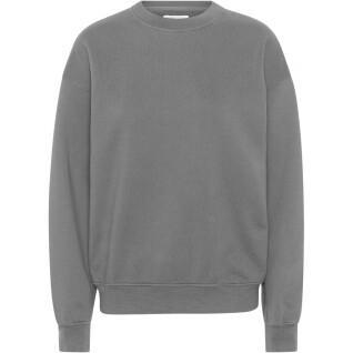 Sweatshirt mit Rundhalsausschnitt Colorful Standard Organic oversized storm grey