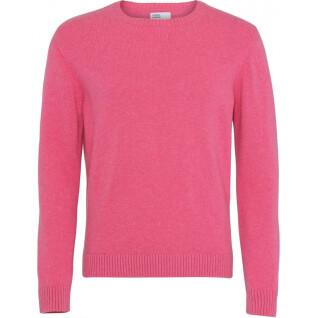 Pullover mit Rundhalsausschnitt aus Wolle Colorful Standard Classic Merino bubblegum pink