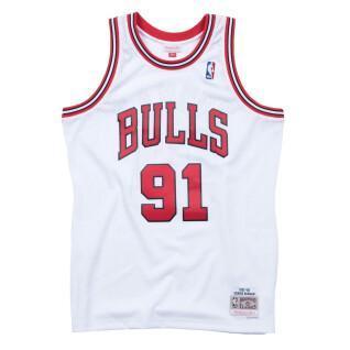 Jersey Chicago Bulls Dennis Rodman