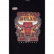 letzter tanz t-shirt Chicago Bulls 6x champs