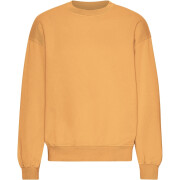 Sweatshirt mit Rundhalsausschnitt in Oversize-Optik Colorful Standard Organic Sandstone Orange