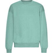 Oversize-Sweatshirt Colorful Standard Organic