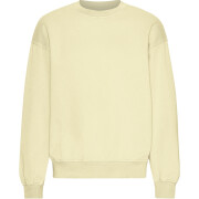 Sweatshirt mit Rundhalsausschnitt in Oversize-Optik Colorful Standard Organic Soft Yellow