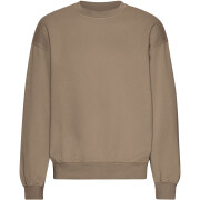 Sweatshirt mit Rundhalsausschnitt in Oversize-Optik Colorful Standard Organic Warm Taupe
