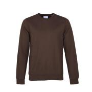 Sweatshirt mit Rundhalsausschnitt Colorful Standard Classic Organic coffee brown