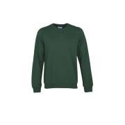 Sweatshirt mit Rundhalsausschnitt Colorful Standard Classic Organic emerald green