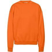 Sweatshirt mit Rundhalsausschnitt Colorful Standard Organic oversized burned orange