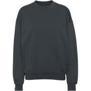 Sweatshirt mit Rundhalsausschnitt Colorful Standard Organic oversized lava grey