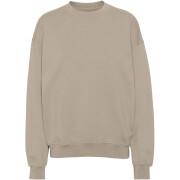 Sweatshirt mit Rundhalsausschnitt Colorful Standard Organic oversized oyster grey
