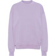 Sweatshirt mit Rundhalsausschnitt Colorful Standard Organic oversized soft lavender