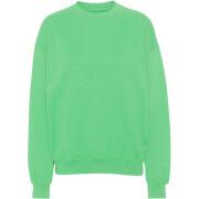 Sweatshirt mit Rundhalsausschnitt Colorful Standard Organic oversized spring green