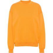 Sweatshirt mit Rundhalsausschnitt Colorful Standard Organic oversized sunny orange