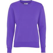 Pullover mit Rundhalsausschnitt Frau Colorful Standard Classic Organic ultra violet