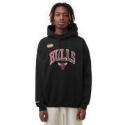 Sweatshirt mit Kapuze arch Chicago Bulls 2021/22
