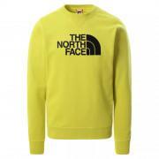Klassisches Sweatshirt The North Face