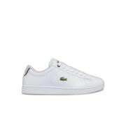 Sneakers Lacoste Carnaby Bl