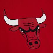 T-Shirt Chicago Bulls Origins
