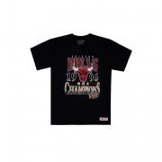 letzter tanz t-shirt Chicago Bulls '96 champs
