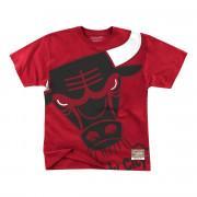 T-shirt Chicago Bulls big face bulls